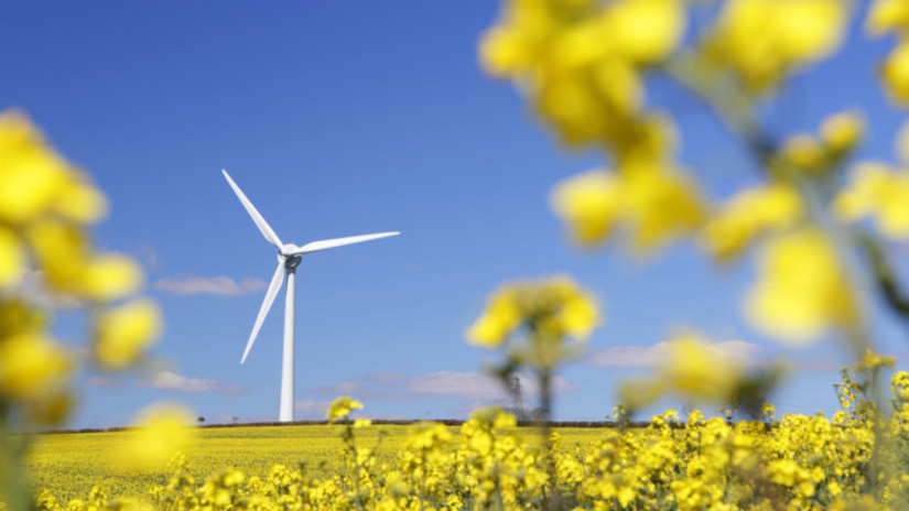 European wind power industry