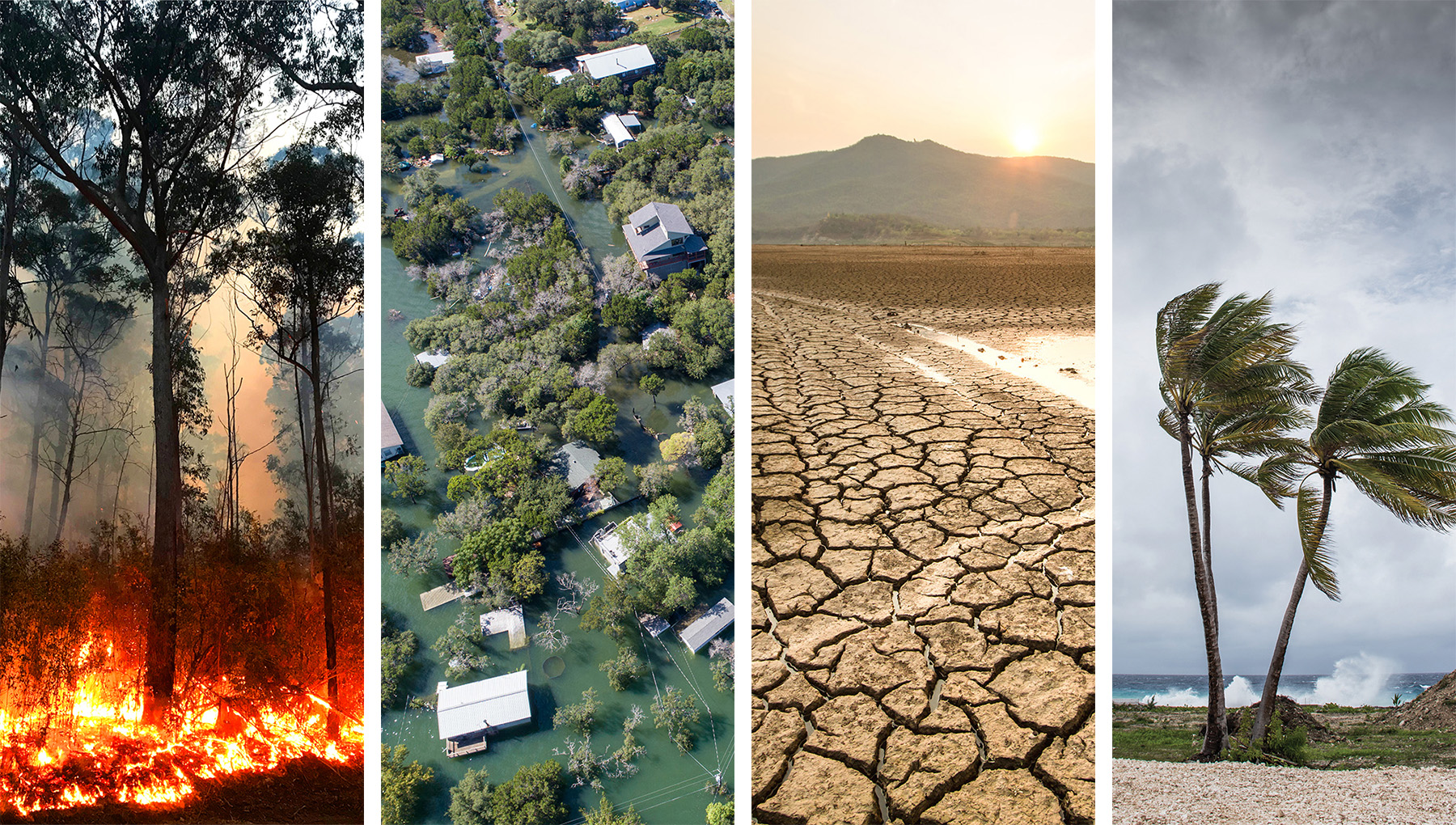 Extreme weather events for in the face of climate change