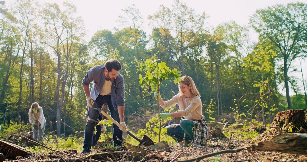Danish State aid scheme to support planting forests