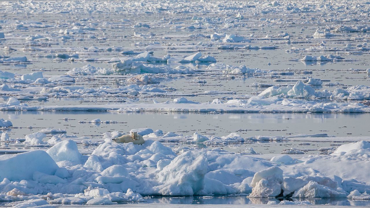 Commission report sounds alarm on ocean health